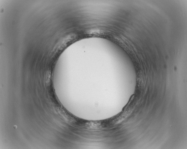 X0000088090660200706011605