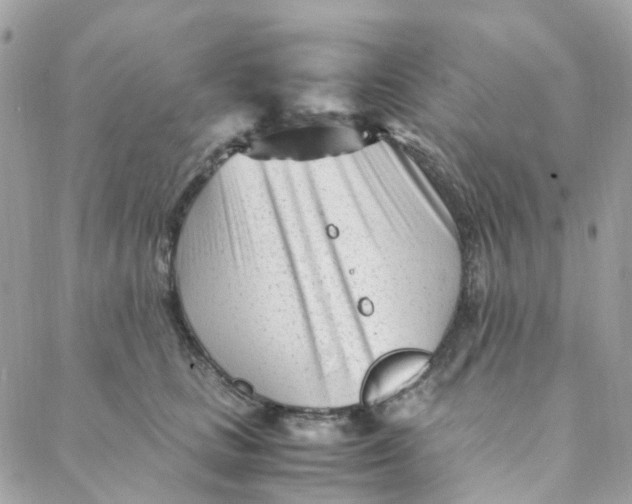 X0000088090661200706011605