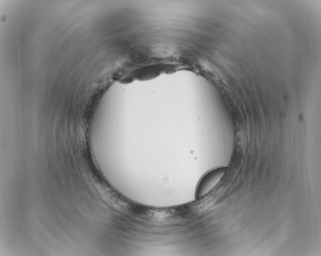 X0000088090662200706011605