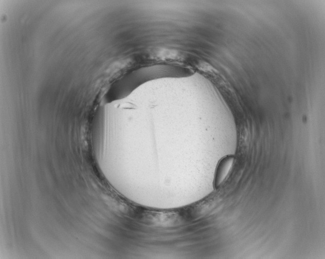 X0000088090663200706011605