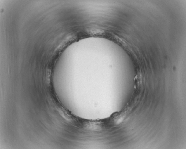 X0000088090664200706011605