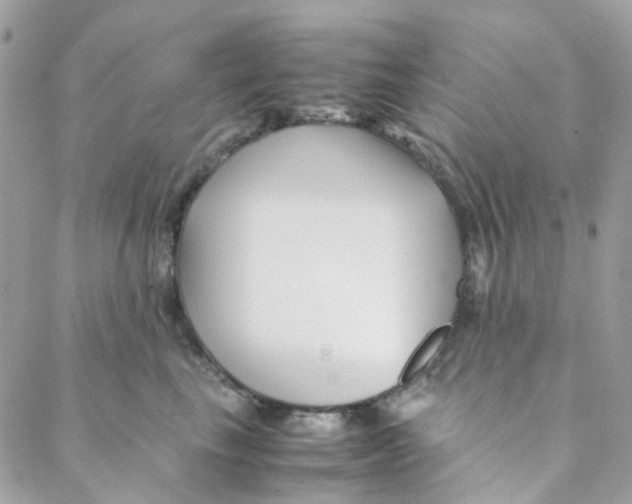 X0000088090665200706011605