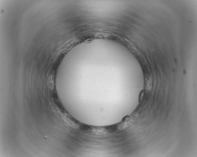 X0000088090666200706011605