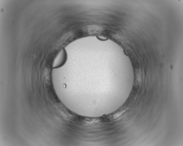 X0000088090667200706011605