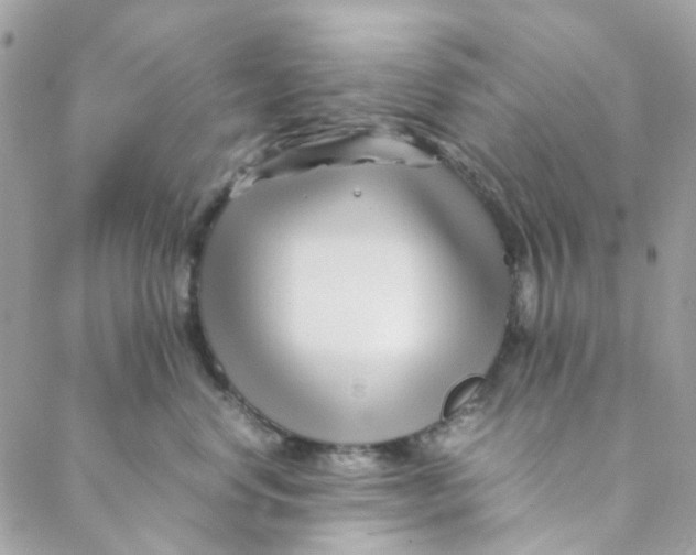 X0000088090668200706011605