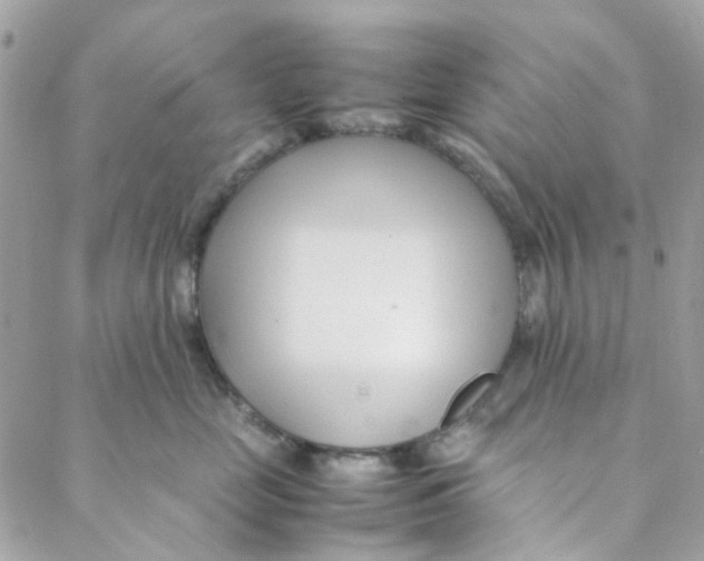 X0000088090669200706011605