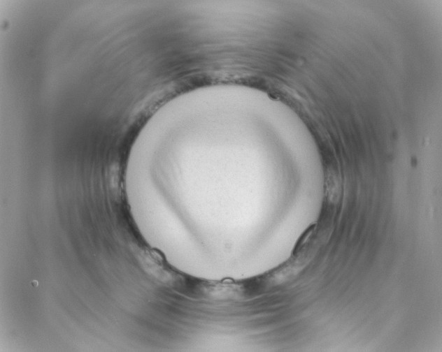 X0000088090670200706011605