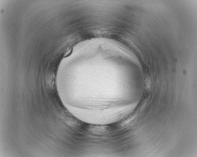 X0000088090671200706011605