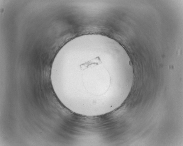 X0000088090672200706011605