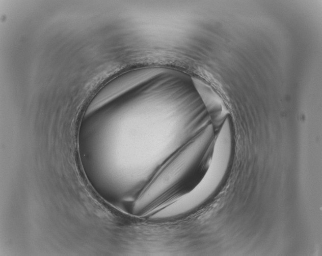 X0000088090673200706011604