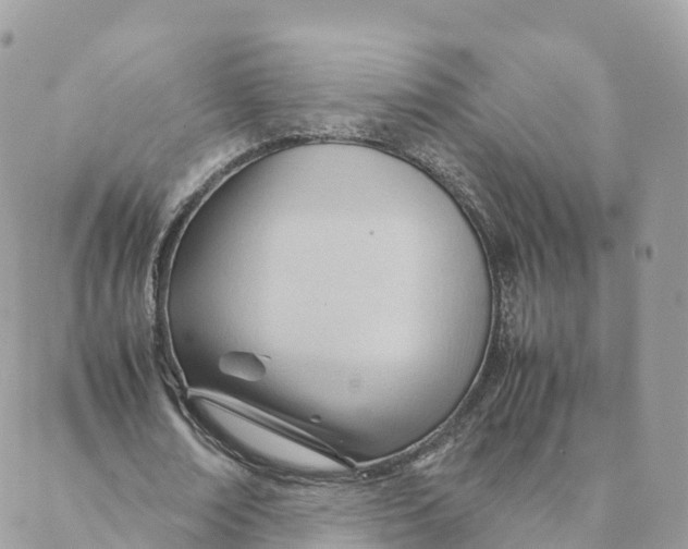 X0000088090674200706011604