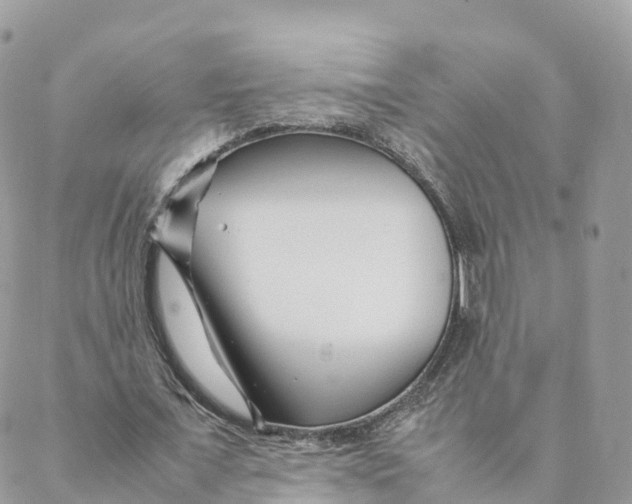 X0000088090675200706011604