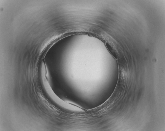 X0000088090676200706011604