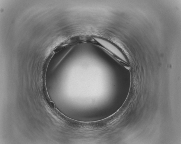 X0000088090677200706011604