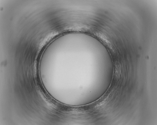 X0000088090678200706011604