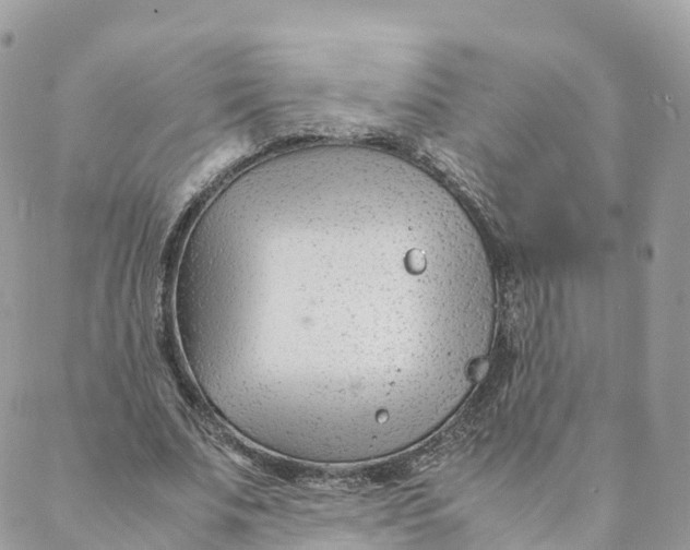 X0000088090679200706011604