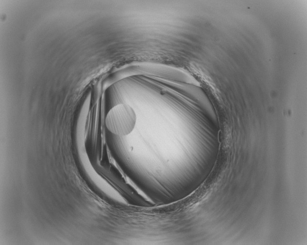 X0000088090681200706011604