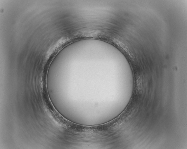 X0000088090682200706011604