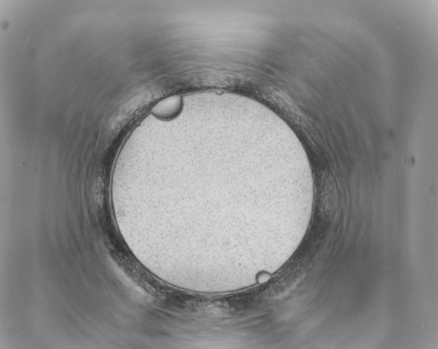 X0000088090683200706011604