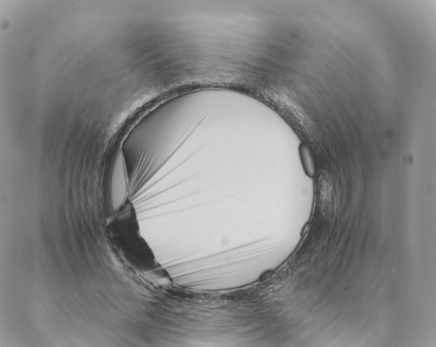 X0000088090684200706011604