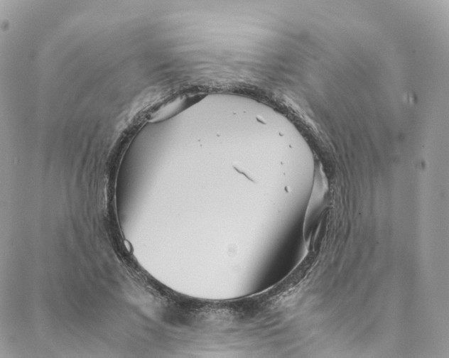 X0000088090685200706011604