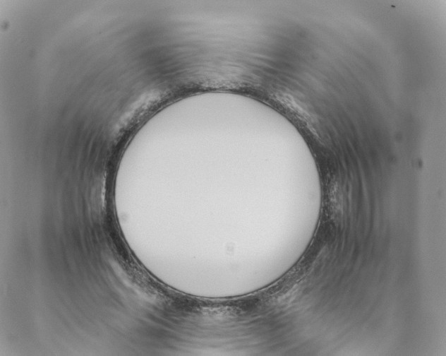 X0000088090686200706011604