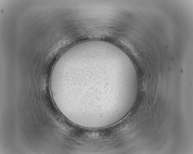 X0000088090687200706011604