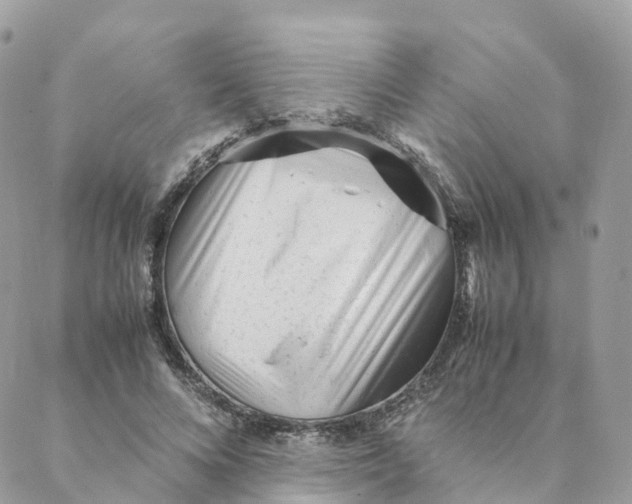 X0000088090688200706011604