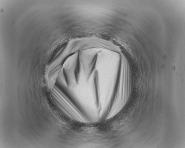 X0000088090689200706011604