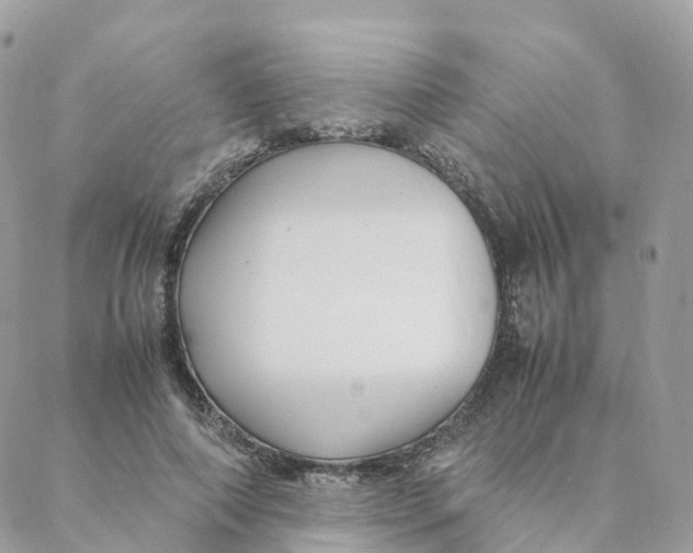 X0000088090690200706011604