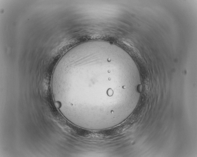 X0000088090691200706011604