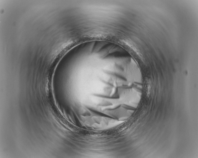 X0000088090692200706011604