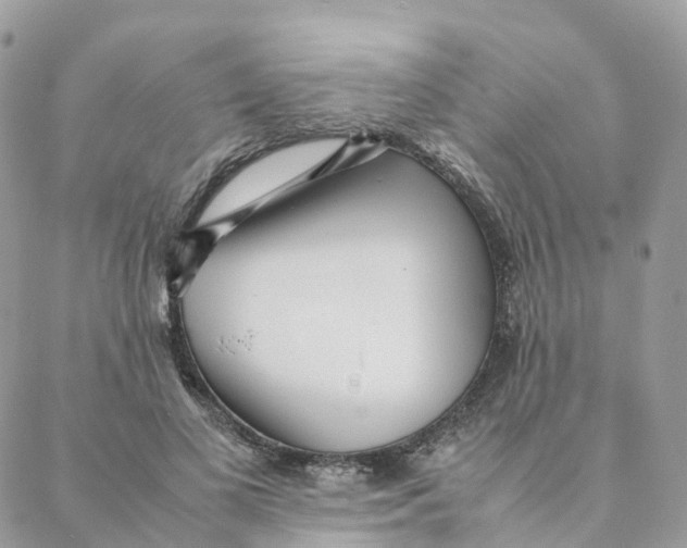 X0000088090693200706011604