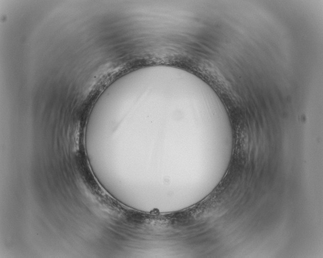 X0000088090694200706011604