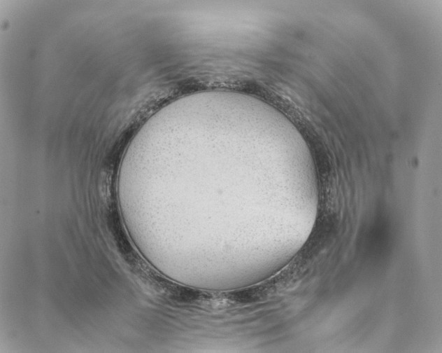 X0000088090695200706011604