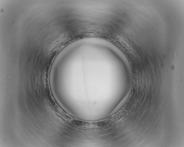 X0000088090696200706011604