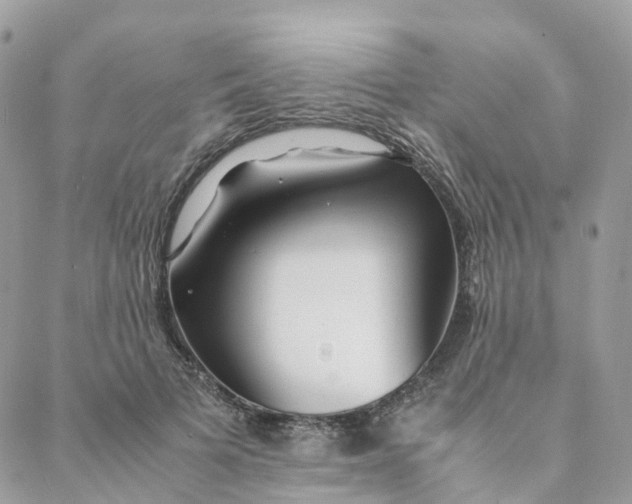 X0000088090697200706011604