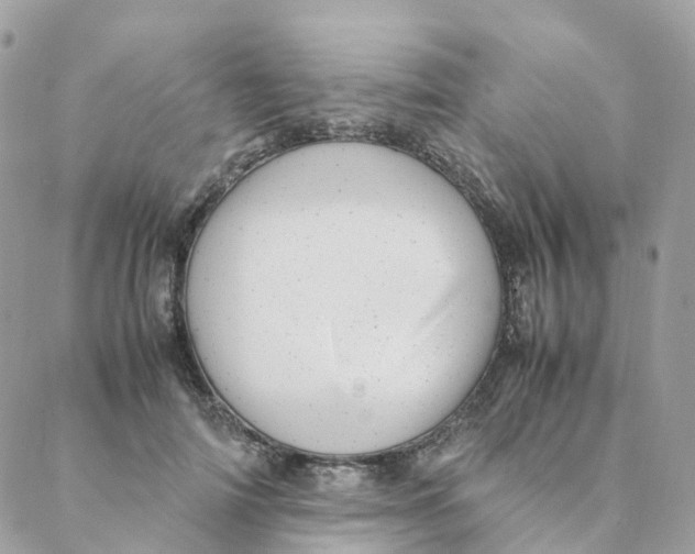 X0000088090698200706011604