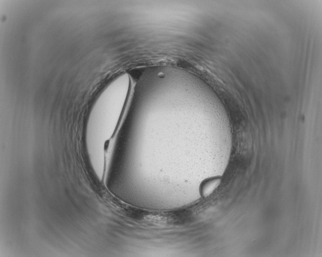 X0000088090699200706011604