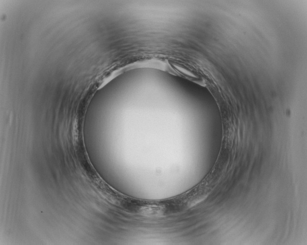 X0000088090700200706011604