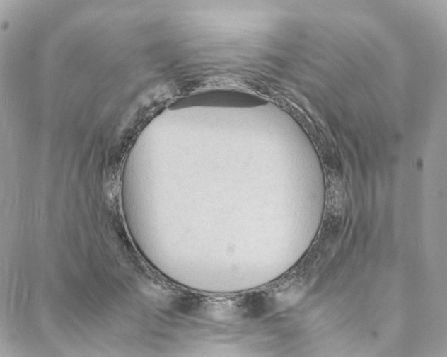 X0000088090701200706011604