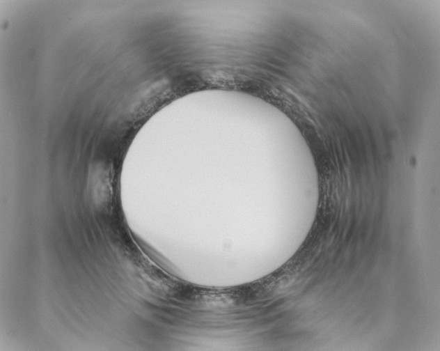 X0000088090702200706011604