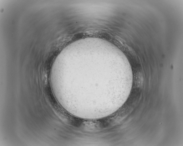 X0000088090703200706011604