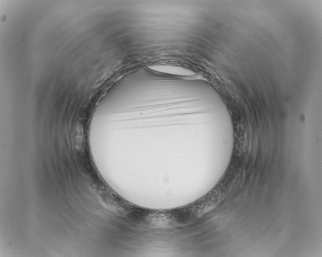 X0000088090704200706011604