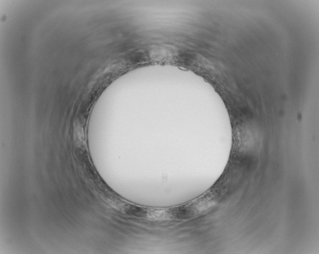 X0000088090705200706011604