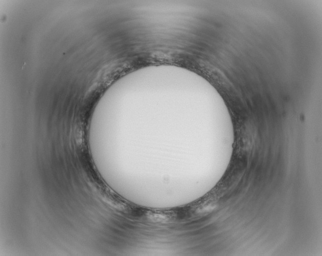 X0000088090706200706011604