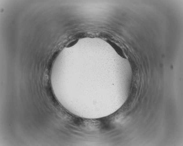 X0000088090707200706011604