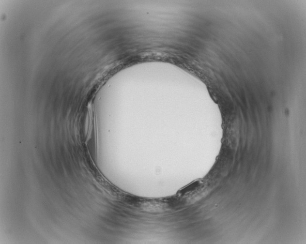 X0000088090708200706011604