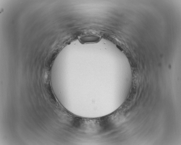 X0000088090709200706011604