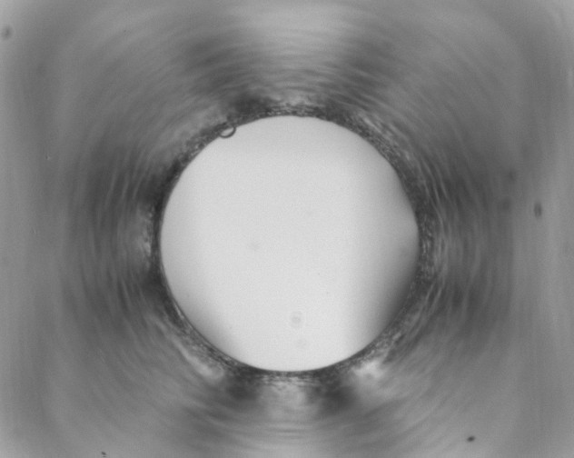 X0000088090710200706011604